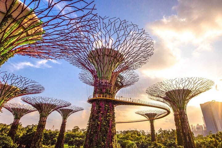 Supertrees and the elevated walkway at Gardens by the Bay in daylight